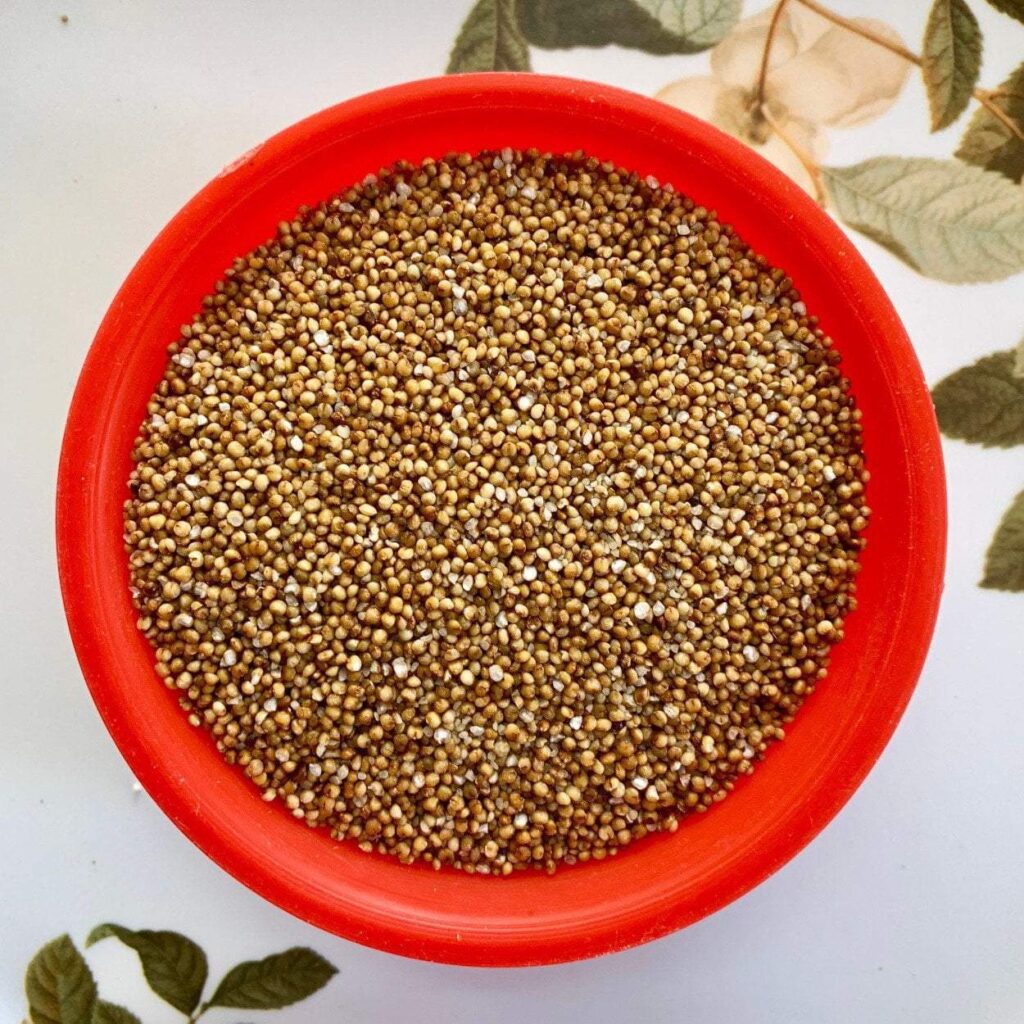 nirvapate-agro-pvt-ltd-millet-seeds-kodo-millet-rice-1-kg-12053580152899_1024x1024@2x